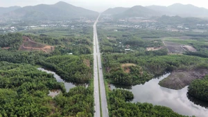 Phân khu Sườn đồi, khu vực núi Dương Ba Làng qua xã Hòa Sơn cũ.