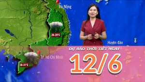 [Video] Dự báo thời tiết ngày mai 12/6/2025: Hoàn lưu bão số một gây mưa lớn tại nhiều khu vực