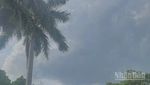 Dự báo khu vực Bắc Bộ và Thanh Hóa đến Hà Tĩnh có mưa rào và dông. (Ảnh minh họa: Đ.T)